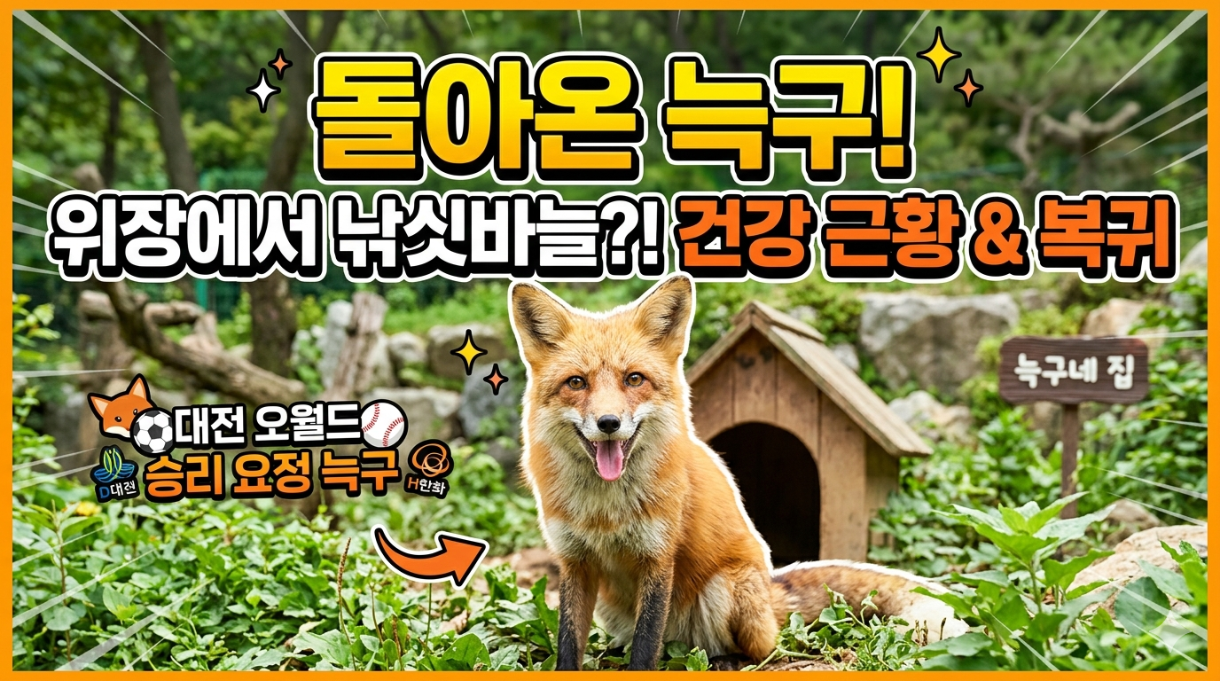 대전 오월드 늑구 복귀 후 근황 및 일반 공개 일정 총정리